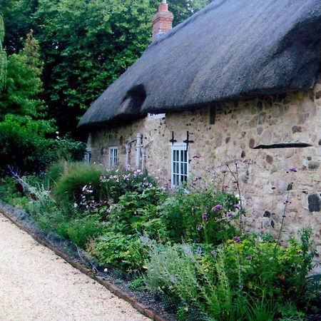 Afton Thatch: Beautiful Thatched Family Cottage 프레시워터 외부 사진