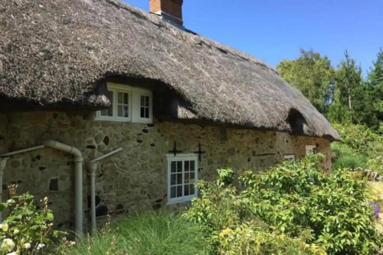 Afton Thatch: Beautiful Thatched Family Cottage 프레시워터 외부 사진
