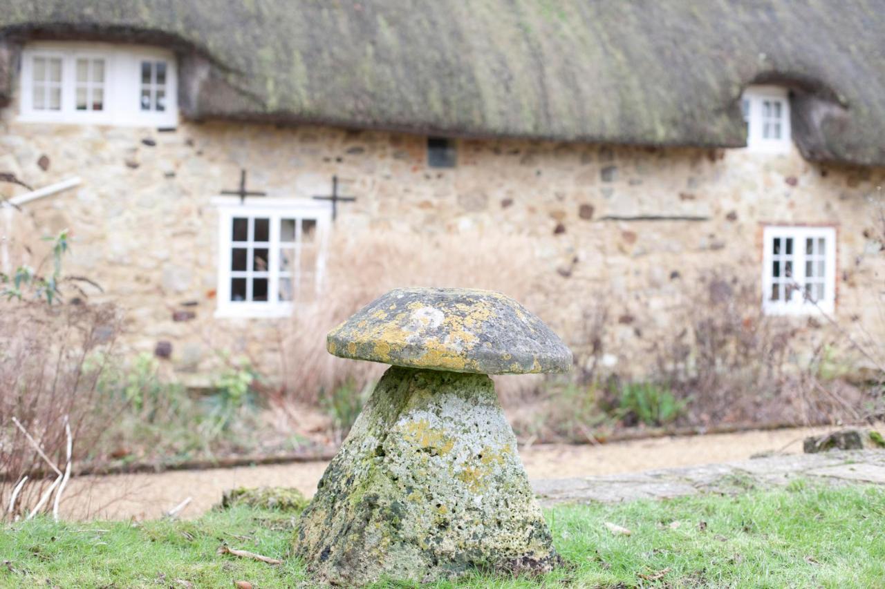 Afton Thatch: Beautiful Thatched Family Cottage 프레시워터 외부 사진